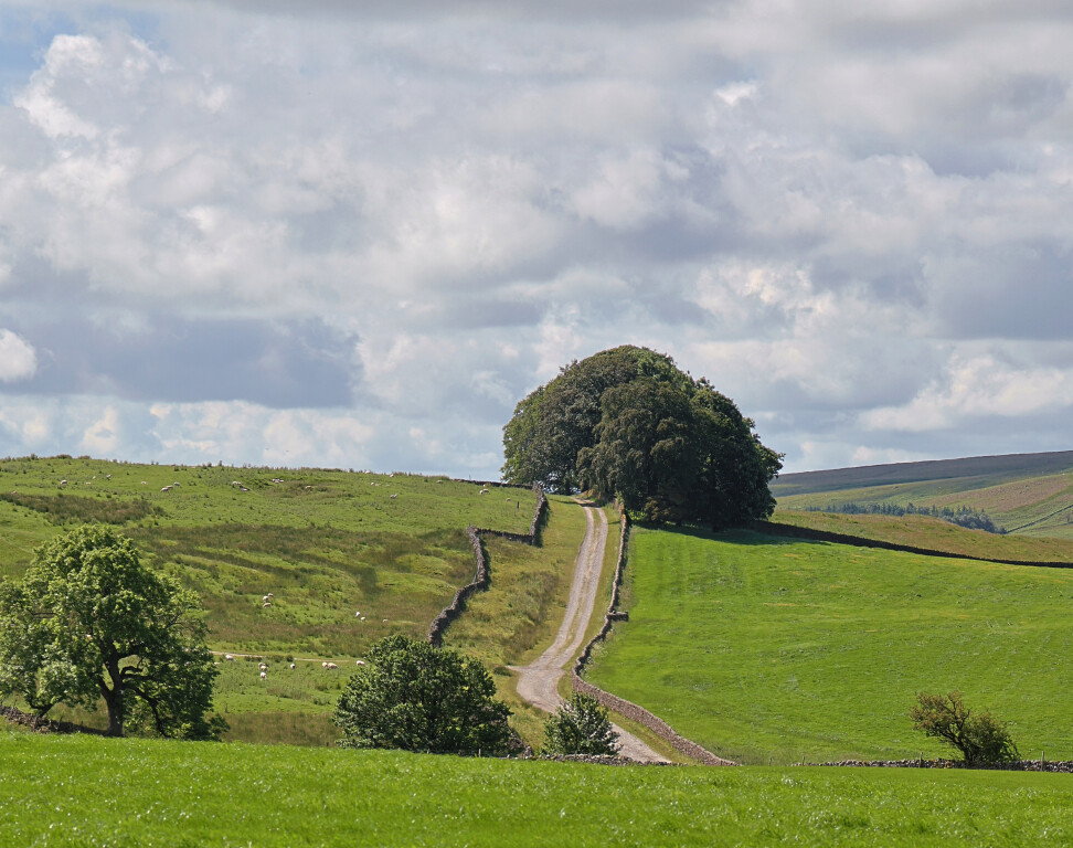 Near Rylstone, North Yorkshire